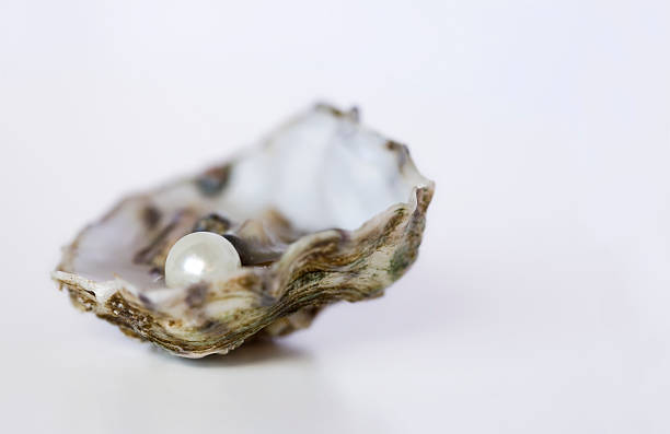 Pearl in oyster shell on a vignetted background