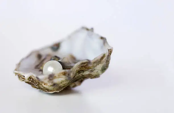 Photo of Close up of oyster with pearl on white background