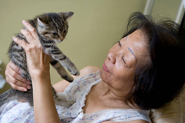 Senior woman and kitten