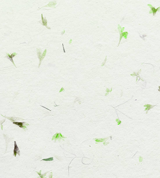 istock handmade paper with dried flowers 471167505