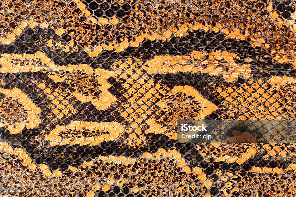 Macro de Cobra - Foto de stock de Animal royalty-free