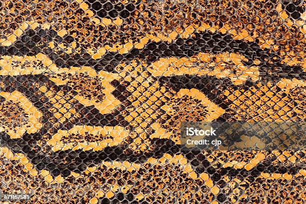 Pele De Cobra Macro - Fotografias de stock e mais imagens de Animal - Animal, Antigo, Camuflagem - Padrão