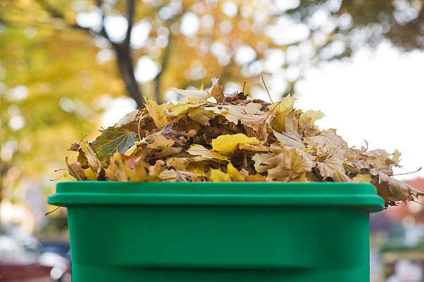 Fall leaves piled in compost bin stock photo
