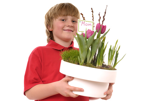 Young boy holding large planter with spring flowers with gift tag - to: Mom