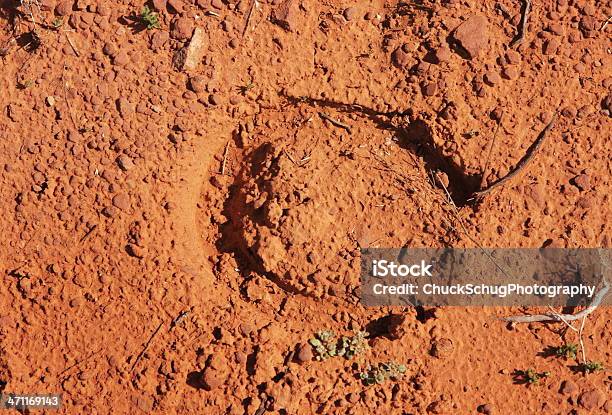 Foto de Horseshoe Corrida Deserto Solo Pegada De Animal e mais fotos de stock de Animal - Animal, Cavalo - Família do cavalo, Conceito