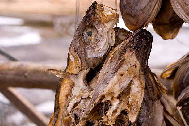 istock Dried fish heads close detail 471169155