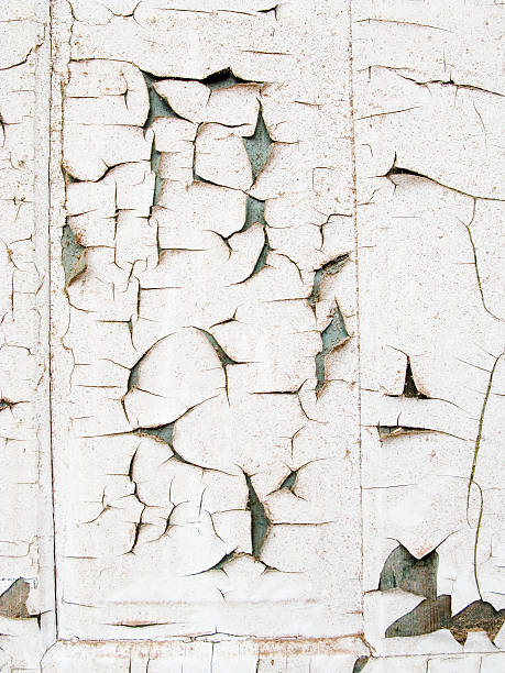 Shown here is a section of an old painted door that used to be white.  This exterior door’s paint is faded, flaking, peeling, very dirty.