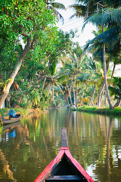 istock Canoeing on the Kerala Backwaters in India 471171634
