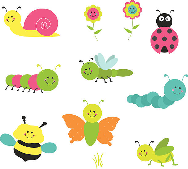 ilustrações de stock, clip art, desenhos animados e ícones de vector conjunto de fofo urso erros - inchworm