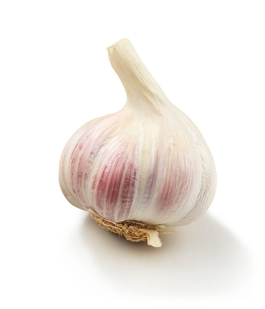 Garlic single stock photo