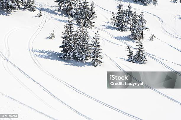 Photo libre de droit de Paysage Hivernal banque d'images et plus d'images libres de droit de Arbre - Arbre, Beauté de la nature, Blanc