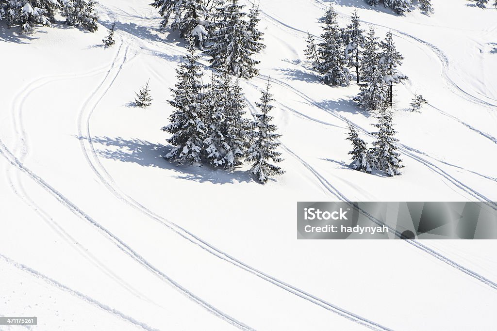 Zimowy krajobraz - Zbiór zdjęć royalty-free (Bez ludzi)