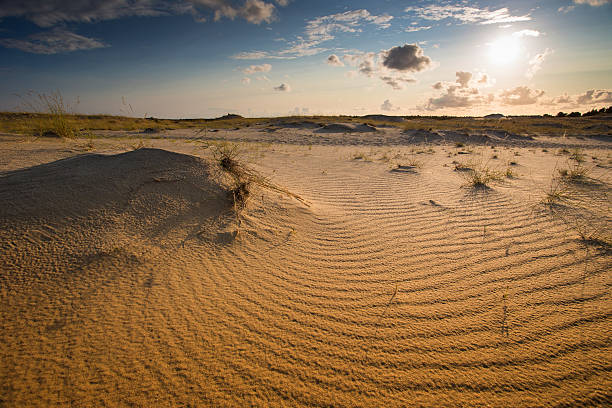 Grau Dunes Curonian Spit in der Nida, Neringa, Litauen – Foto