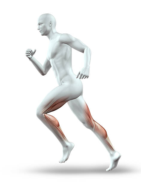 istock 3D male figure running with muscles 471175748