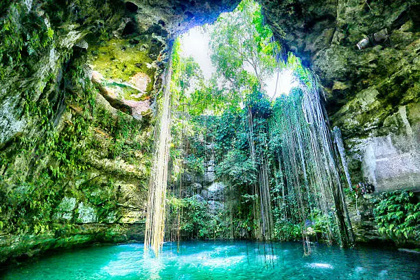 Cenote Ik Kil in the Yucatan of Mexico is a huge limestone hole that has collapsed and sunk, creating a large body of water, now used as a swimming hole.