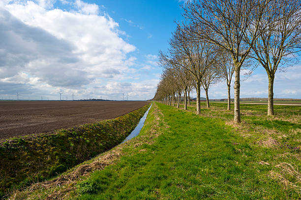istock Row of trees along a ditch in spring 471176372