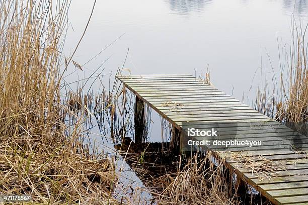 Fisher Bridge Stock Photo - Download Image Now - Autumn, Barren, Bridge - Built Structure