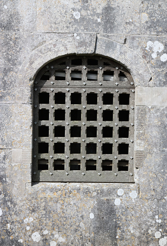 iron window guard (detail from a castle)