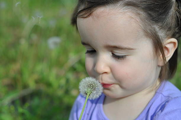 istock Little Girl with Dandelion 471177691