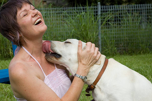 Doggy Kiss A dogs licks his owner animal saliva stock pictures, royalty-free photos & images