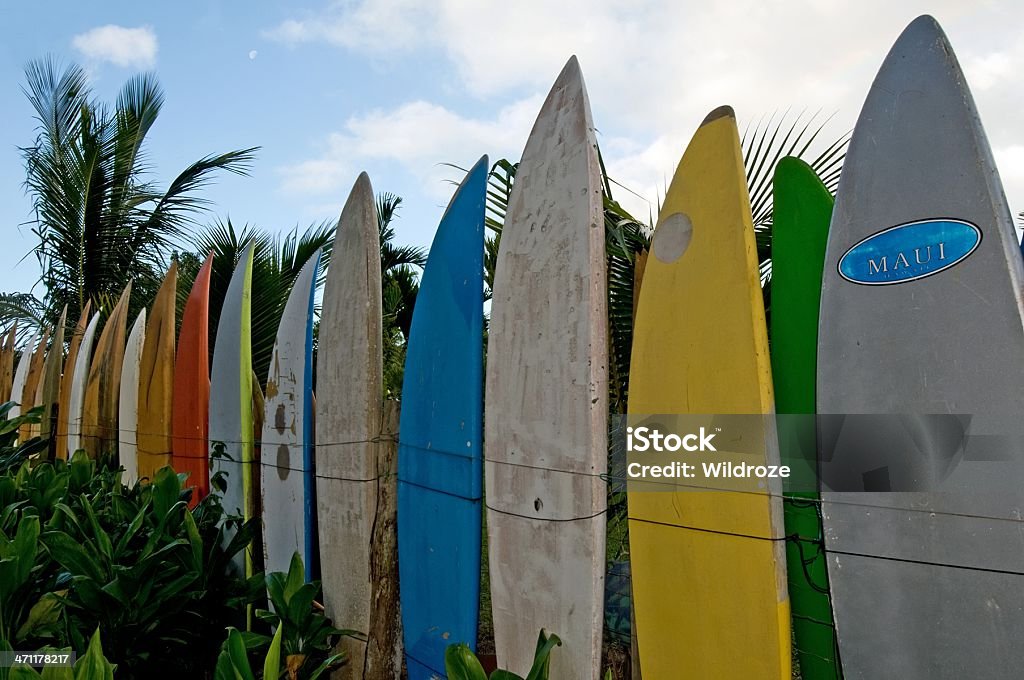 Valla de la tabla de surf - Foto de stock de Agua libre de derechos