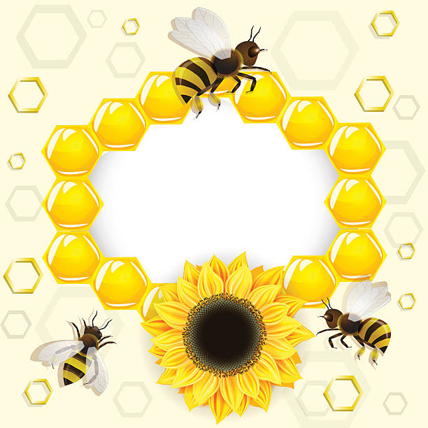ilustraciones, imágenes clip art, dibujos animados e iconos de stock de honeycombs sunflowers y abejas de fondo - honey hexagon honeycomb spring