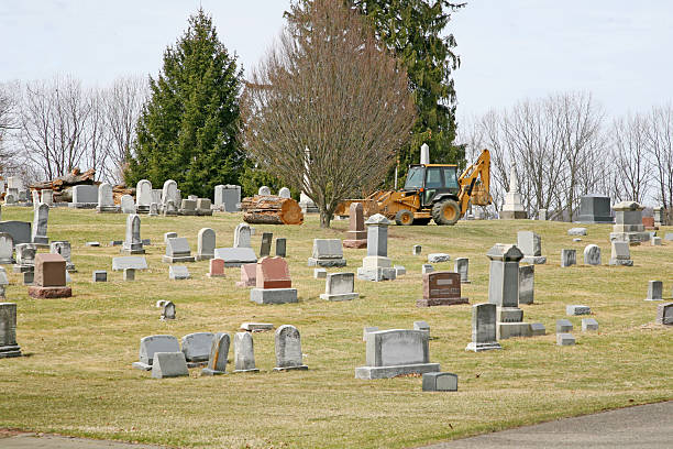 春の清掃の墓地 - glade land construction vehicle built structure ストックフォトと画像