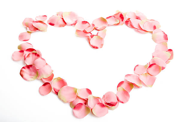 istock pink petal heart 471180489