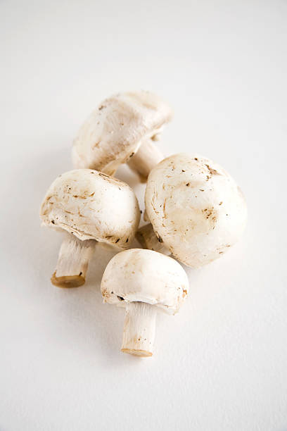 istock Small Group of White Button Mushrooms 471181031