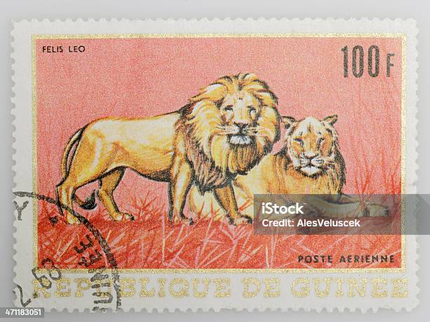 Francobollo Postale - Fotografie stock e altre immagini di Guinea - Guinea, Francobollo postale, Animale