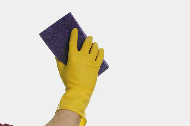 yellow gloves with purple sponge stock photo