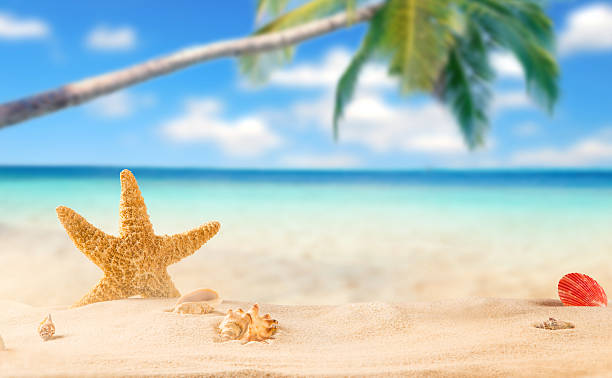 istock summer coconut drink on the beach 471183864