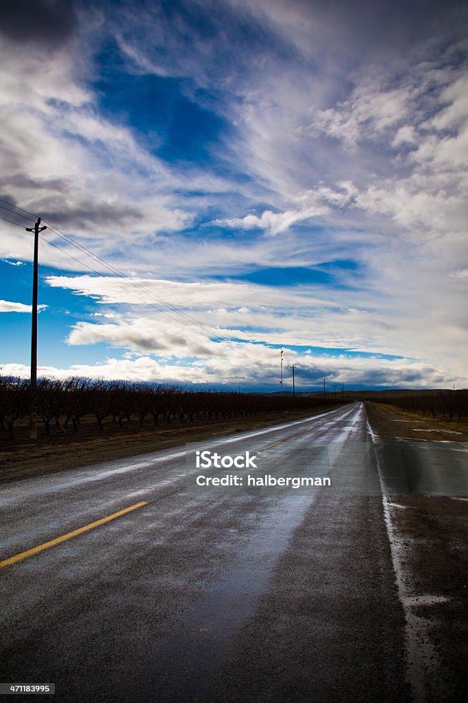 Chuva com gel para a Rural Road - Foto de stock de Agricultura royalty-free