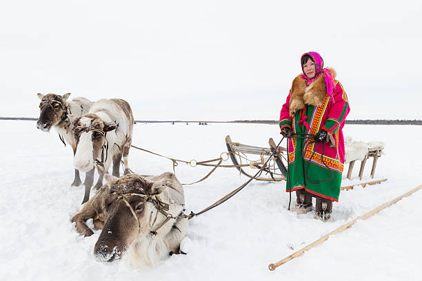 가진 여자 순록 팀 - people russia indigenous culture women 뉴스 사진 이미지
