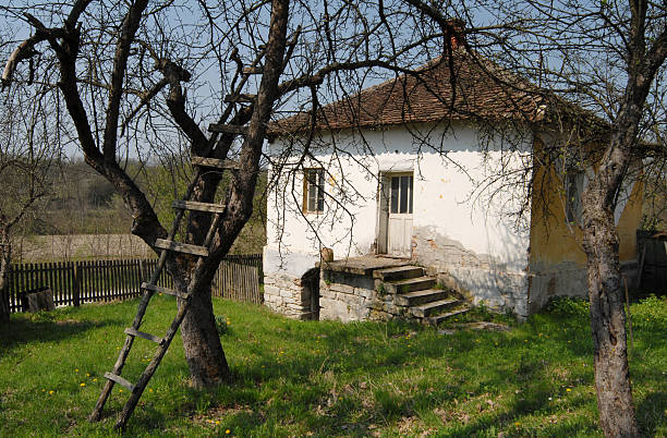 istock old village Serbian house among the trees 471184613
