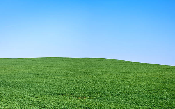istock Spring landscape 40MPix XXXXL size 471185451