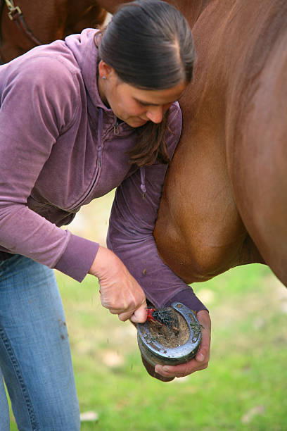 istock Woman cleaning horseshoe 471185801