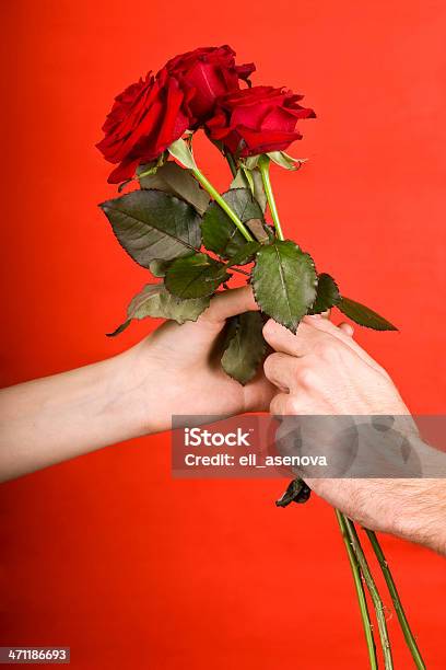 From Me To You Stock Photo - Download Image Now - Red, Red Background, Rose - Flower