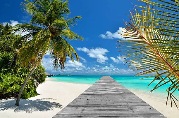 Photo of Tropical beach and wooden bridge pier