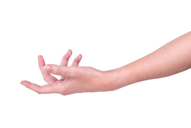 istock Woman hand hold gesture showing isolated on white background 471187148