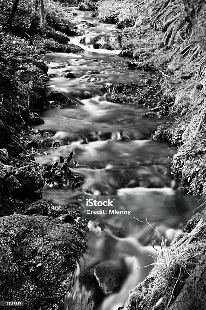 Pequeno Rio água fluxo preto e branco tempo de exposição - Royalty-free Alsácia Foto de stock