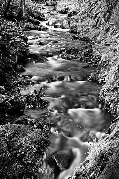 fluxo de água de pequeno rio preto e branco de exposição longa - black and white landscape square long exposure - fotografias e filmes do acervo