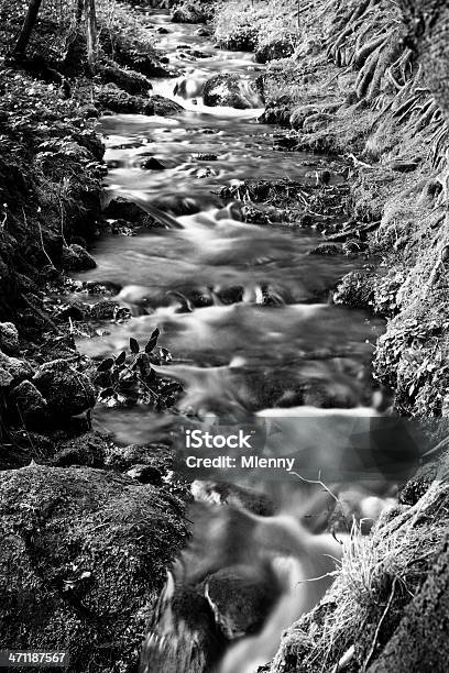 Pequeno Rio Água Fluxo Preto E Branco Tempo De Exposição - Fotografias de stock e mais imagens de Alsácia