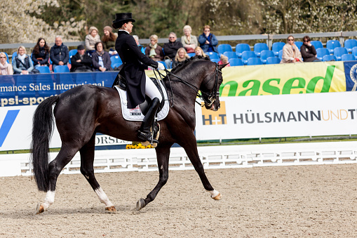 Hagen a.T.W., Germany - April 23, 2015: Kristina Sprehe at Horses & Dreams 2015 with Fuerst Fugger during the Nuernberger Burgpokal opening