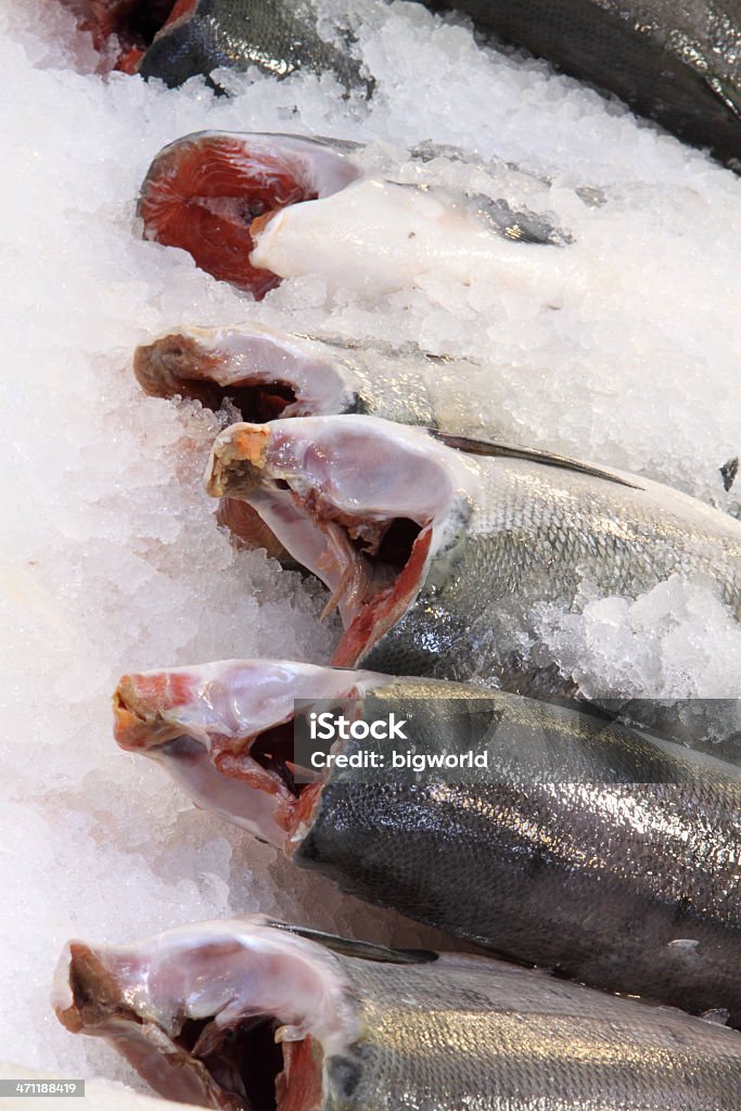 Salmón fresco - Foto de stock de Frescura libre de derechos