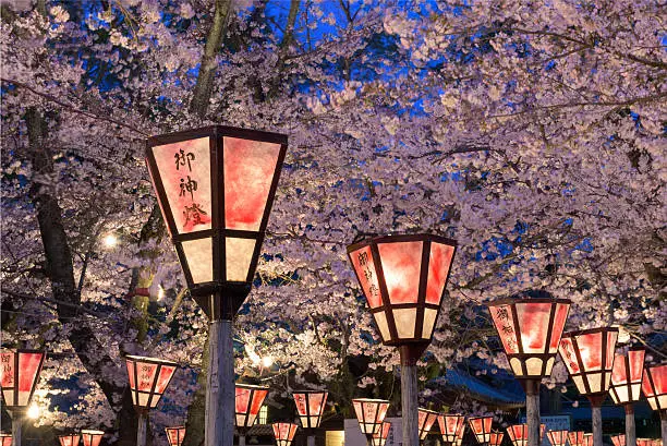 Lantern in Sakura Festival at Mishima Shrine, Shizuoka, Japan. The lantern reads "The light of God"