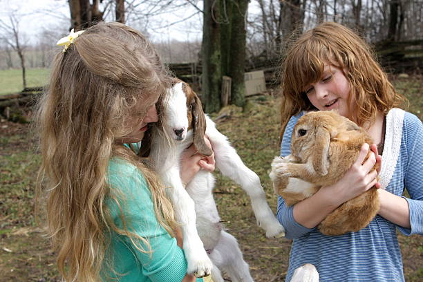 istock Children and Animals 471190451
