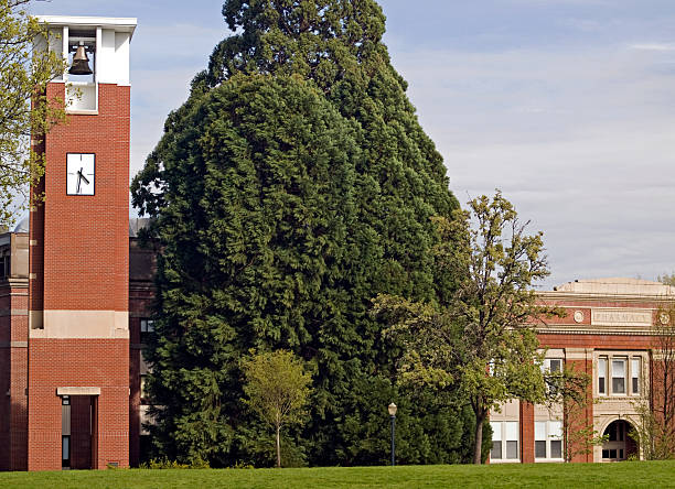 Bell Tower and Pharmacy at OSU The campanile, or bell tower located at OSU ( Oregon State University ) with the Pharmacy Building on the side. This is in the town of Corvallis, Oregon. oregon state university stock pictures, royalty-free photos & images