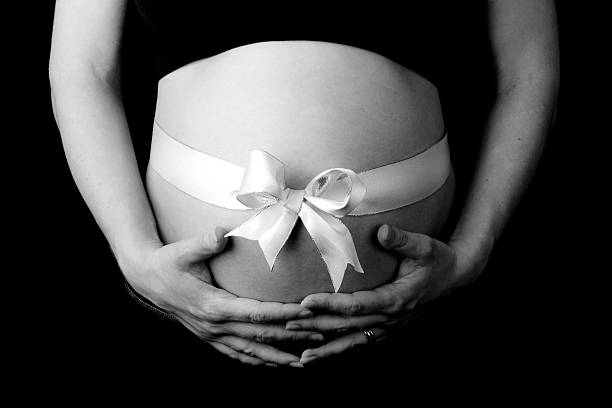 Pregnant Woman Holding Gift Wrapped Belly A pregnant woman cradling her abdomen with her hands, gift wrapped with a white ribbon, black and white stomach knot stock pictures, royalty-free photos & images