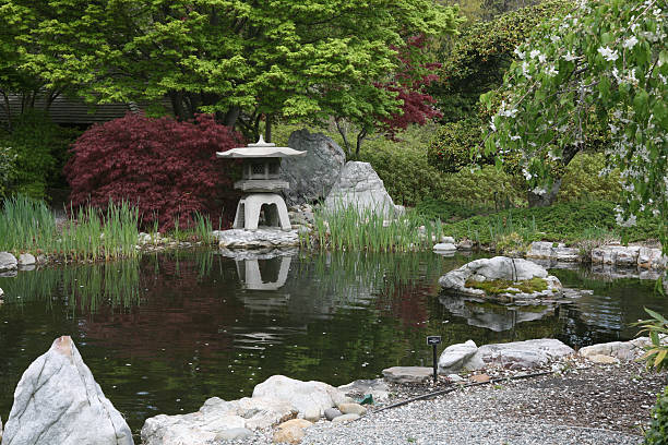 istock asian inspired water garden 471191123
